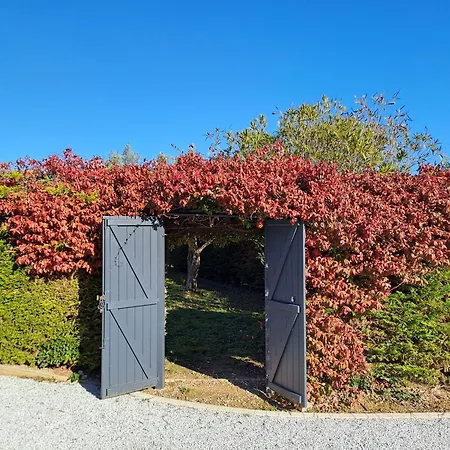 Les Deux Oliviers Carcassonne